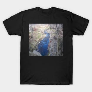 Blue river T-Shirt